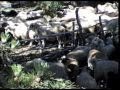 Summer In SAMARINA Pindos Mountains Greece 1995