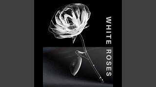 Mawar putih