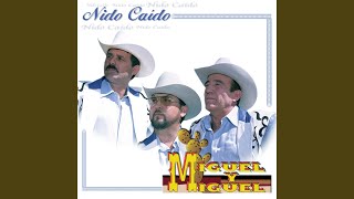 No Hay Nada Completo