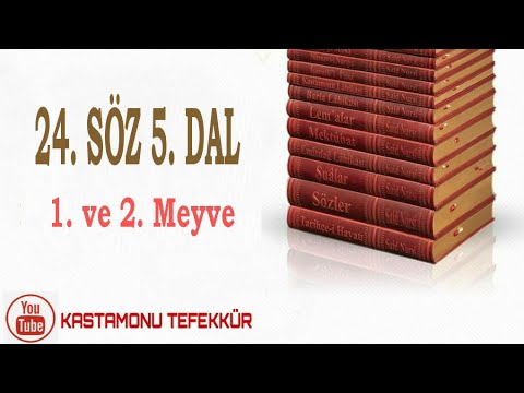 24. Söz 5.Dal 1.ve 2. Meyve