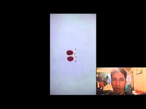 Ciclo de vida de ulva