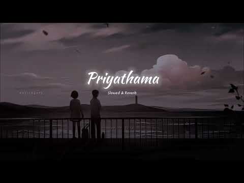 Priyathama ( Slowed+Reverb ) - Kotha Kothaga