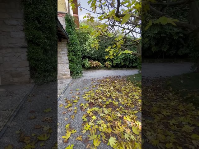 Lussuosa villa liberty a Merate