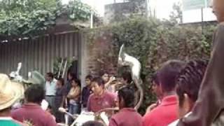 preview picture of video 'La Original Banda Real de Oaxaca-La conga roja'