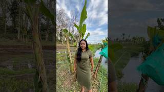 Download lagu @jiaamalia20 mp3 Download lagu @jiaamalia20 mp3