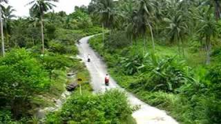 preview picture of video 'Motorbike/Scooter on steep hill on Koh Phang Nang'