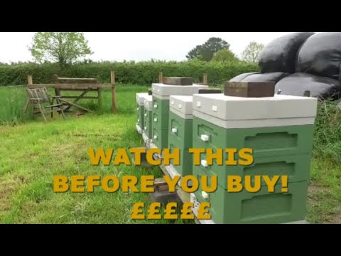 DON'T Buy The 12 Frame Poly Hive Before You Watch This!