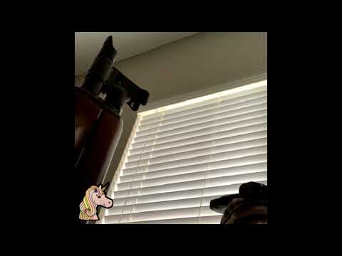 EntreFigueroa - SPB (prod. StoopidXool) [KASHWORLD EXCLUSIVE]