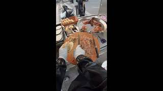 Download lagu 🔴 LIVE 2026-03-28 01:42:02 mp3