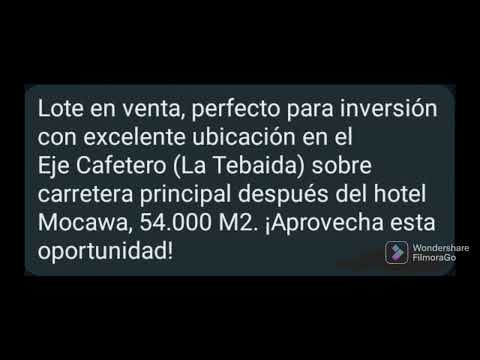 Lotes, Venta, La Tebaida - $5.940.000.000