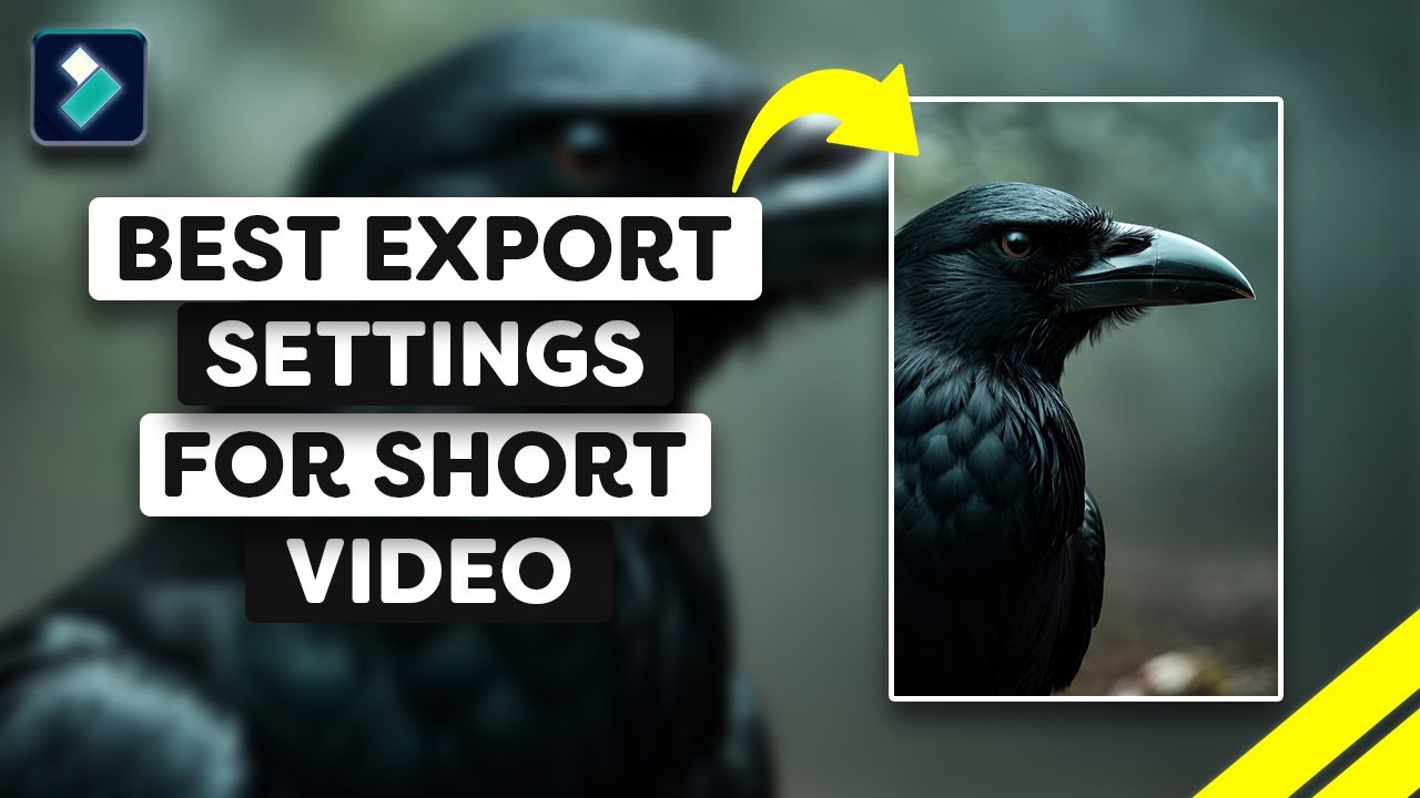 Best Export Settings For Short Video On Filmora 13
