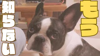 いじける愛犬💦