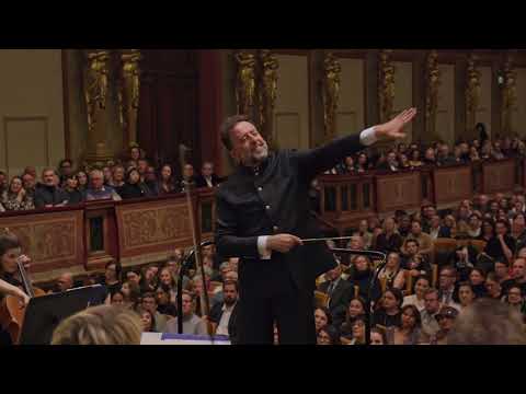 Danubio Azul (Vals) - Francisco Navarro Lara & Wiener KammerOrchester