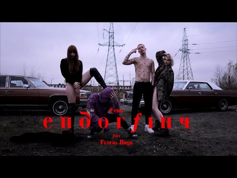 Feno feat. Floral Bugs - Endorfiny (prod. Plughub)