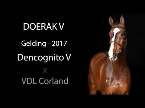 Doerak V video