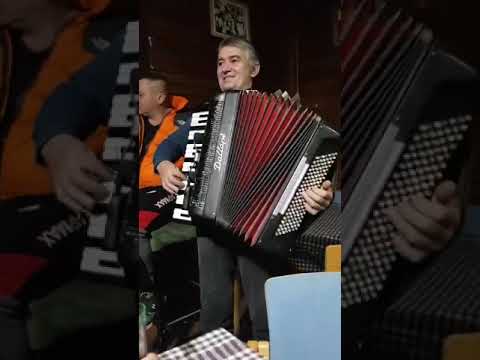 Novica Djordjevic "Kafana Neresnica"