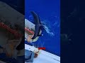 “Ele seguiu o golfinho. e viveu algo inacreditável!”🐬