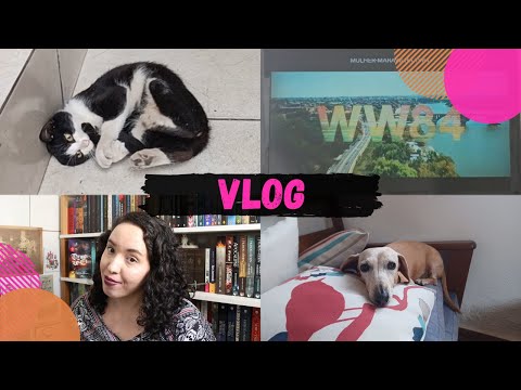 Vlog #28: Ajudem a blogueira impaciente | Rassa Baldoni