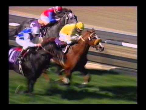 1993 Breeders' Cup Turf - Kotashaan + Post Race