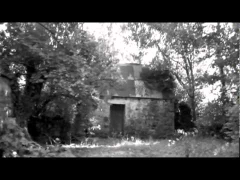 Friday Town video