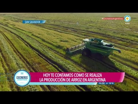 GPS, arroz