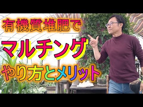 冬のマルチングのメリットとデメリットは何ですか？解読！  庭園