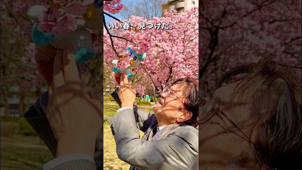 いい春、見つけた。　#shorts  #桜