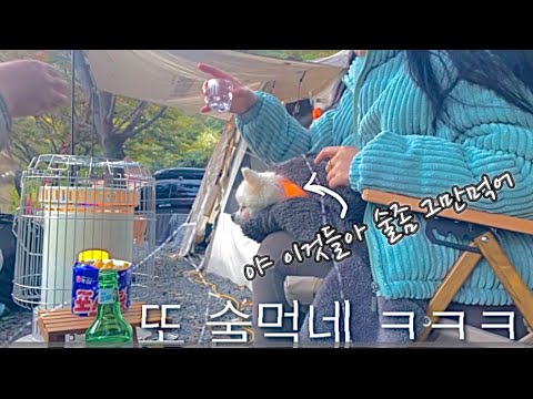 남자친구랑 캠핑 / 반려견 함께 / 3박4일 풀영상