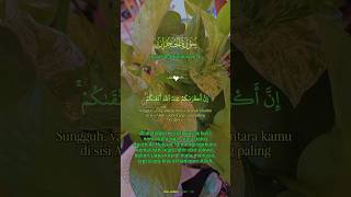 Download lagu Surah Al-Hujarat 13, tentang persamaan Manusia dihadapan Allah SWt. #motivasiislam #pendosahijrah mp3 Download lagu Surah Al-Hujarat 13, tentang persamaan Manusia dihadapan Allah SWt. #motivasiislam #pendosahijrah mp3