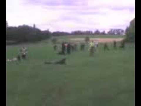 Players take a beating, Gathering 1108AF