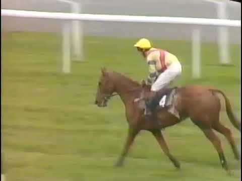 Ascot Racing Review 23-10-1991