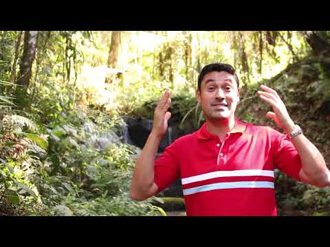 Gralha Azul video