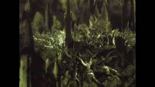 Emperor - the Wanderer