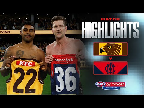 Hawthorn v Melbourne Highlights | Round 23, 2025 | AFL