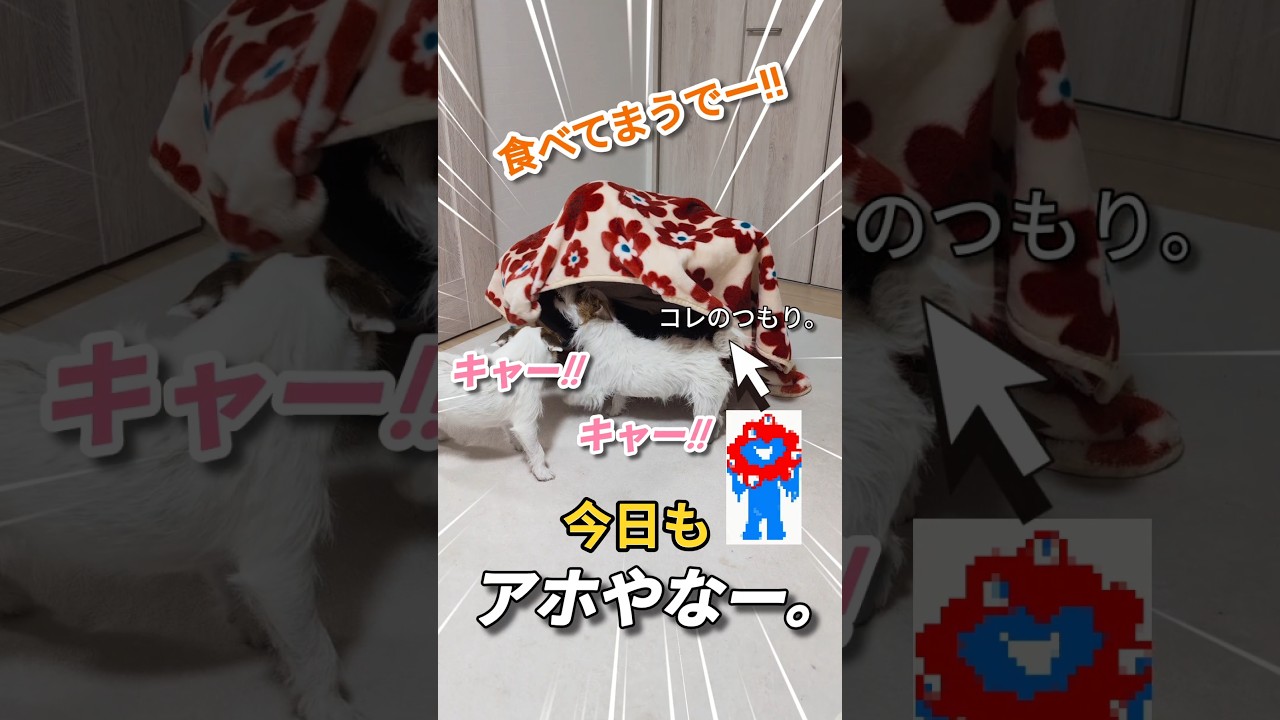 ミャクミャクお化け!?に食べられる小型犬姉妹 #面白い #かわいい犬 #癒し #犬のいる暮らし #shorts