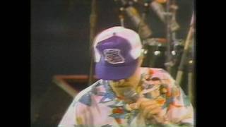 The Beach Boys Live At The Queen Mary 1981 409  Shut Down  Little Old Lady From Pasadena