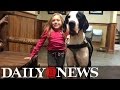 Girl With Rare Disease Walking Again With Help From Her Great Dane