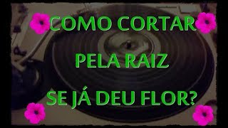Como cortar pela raiz? - Morada | Sandy Leah