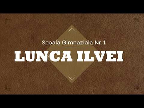 Prezentare LUNCA ILVEI!