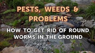 How to Get Rid of Round Worms in the Ground
