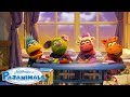 Pajanimals Theme Song Music For Kids Pajanimals
