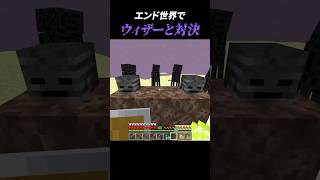 エンドでウィザー討伐する日【統合版】