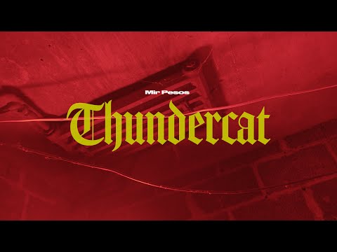 Mir Pesos-Thundercat (Dir By @RawRobFilms )(Prod By WayneCampbell)  #MirPesos #newjersey   #camden