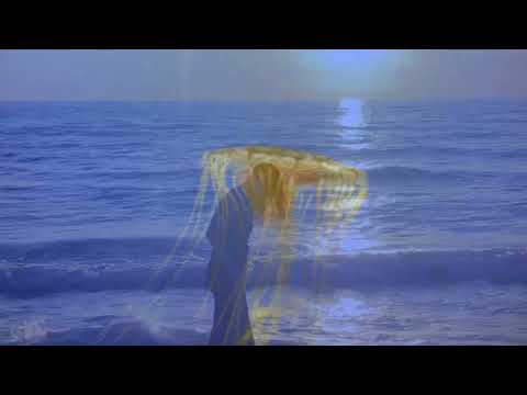 Lily Holbrook- Comfortably Numb (Pink Floyd Cover)