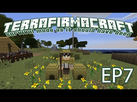 Terrafirmacraft+ Episode 7: Basket Bee Hives!