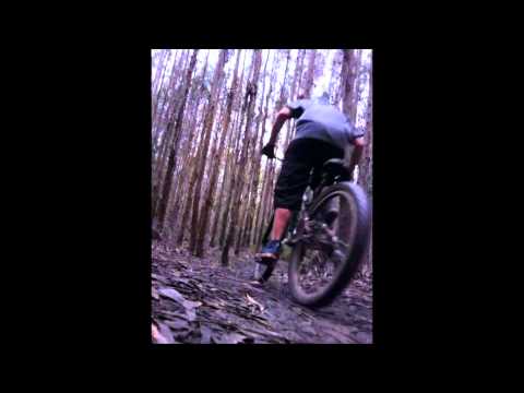 andresurrutiau’s Video 58203660511 2UEm-n8ZvFA