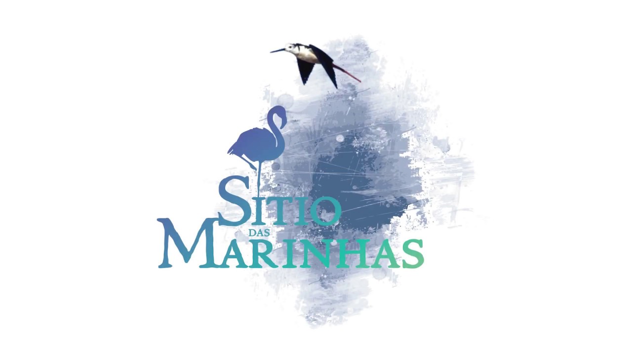 Exposição do Sítio das Marinhas já abriu ao público