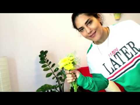 "In my country you can be shot dead for free speech" - Mahboubeh Tavakoli (refugee from Iran)