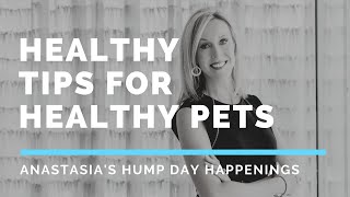 Healthy Tips For Healthy Pets