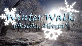 preview picture of video 'Winter Walk in Okotoks, Alberta(Canada)'